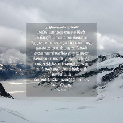 Picture 04 - ஆதியாகமம் 42:33 TAMIRV - அப்பொழுது - Bible Verse Picture