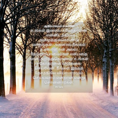 Picture 04 - ஆதியாகமம் 42:34 TAMIRV - உங்கள் இளைய - Bible Verse Picture