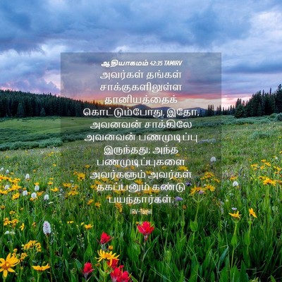 Picture 04 - ஆதியாகமம் 42:35 TAMIRV - அவர்கள் தங்கள் - Bible Verse Picture
