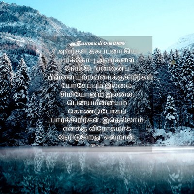 Picture 04 - ஆதியாகமம் 42:36 TAMIRV - அவர்கள் - Bible Verse Picture