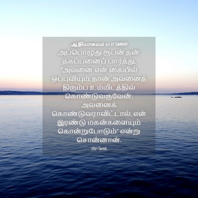 Picture 04 - ஆதியாகமம் 42:37 TAMIRV - அப்பொழுது ரூபன் - Bible Verse Picture