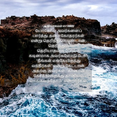 Picture 04 - ஆதியாகமம் 42:7 TAMIRV - யோசேப்பு - Bible Verse Picture