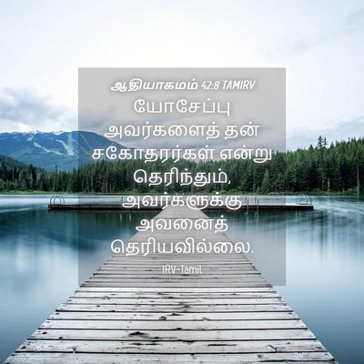 Picture 04 - ஆதியாகமம் 42:8 TAMIRV - யோசேப்பு - Bible Verse Picture