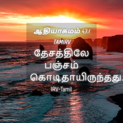 Picture 04 - ஆதியாகமம் 43:1 TAMIRV - தேசத்திலே பஞ்சம் - Bible Verse Picture