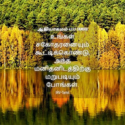 Picture 04 - ஆதியாகமம் 43:13 TAMIRV - உங்கள் - Bible Verse Picture