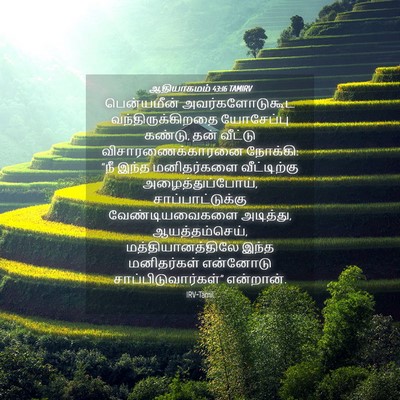 Picture 04 - ஆதியாகமம் 43:16 TAMIRV - பென்யமீன் - Bible Verse Picture