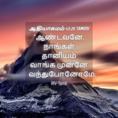 Picture 04 - ஆதியாகமம் 43:20 TAMIRV - “ஆண்டவனே, நாங்கள் - Bible Verse Picture