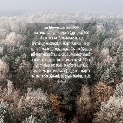 Picture 04 - ஆதியாகமம் 43:21 TAMIRV - நாங்கள் தங்கும் - Bible Verse Picture