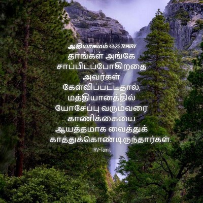 Picture 04 - ஆதியாகமம் 43:25 TAMIRV - தாங்கள் அங்கே - Bible Verse Picture