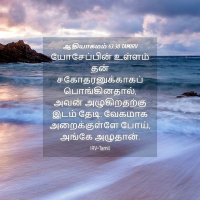 Picture 04 - ஆதியாகமம் 43:30 TAMIRV - யோசேப்பின் உள்ளம் - Bible Verse Picture