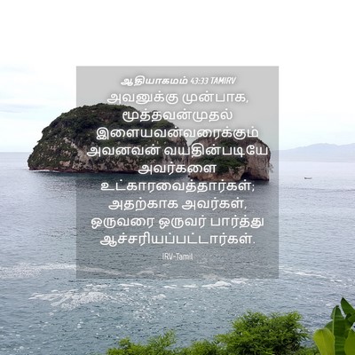 Picture 04 - ஆதியாகமம் 43:33 TAMIRV - அவனுக்கு முன்பாக, - Bible Verse Picture