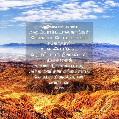 Picture 04 - ஆதியாகமம் 43:5 TAMIRV - அனுப்பாவிட்டால். - Bible Verse Picture