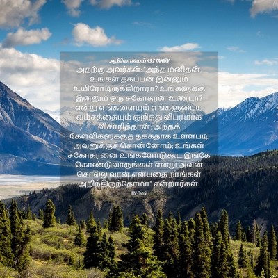 Picture 04 - ஆதியாகமம் 43:7 TAMIRV - அதற்கு அவர்கள்: - Bible Verse Picture