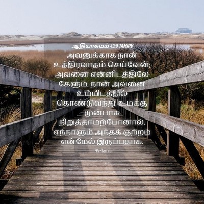 Picture 04 - ஆதியாகமம் 43:9 TAMIRV - அவனுக்காக நான் - Bible Verse Picture