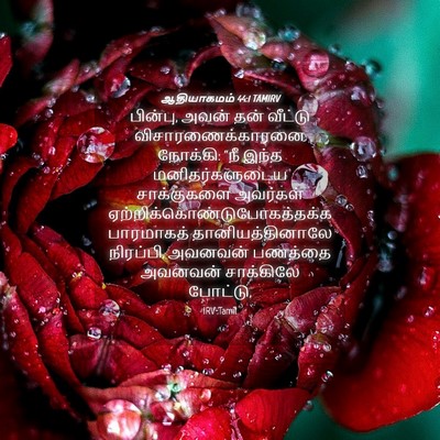 Picture 04 - ஆதியாகமம் 44:1 TAMIRV - பின்பு, அவன் தன் - Bible Verse Picture