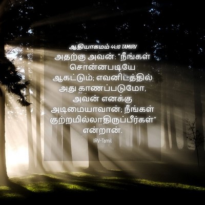 Picture 04 - ஆதியாகமம் 44:10 TAMIRV - அதற்கு அவன்: - Bible Verse Picture