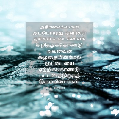 Picture 04 - ஆதியாகமம் 44:13 TAMIRV - அப்பொழுது அவர்கள் - Bible Verse Picture