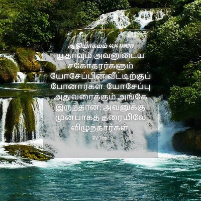 Picture 04 - ஆதியாகமம் 44:14 TAMIRV - யூதாவும் அவனுடைய - Bible Verse Picture