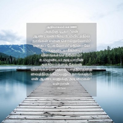 Picture 04 - ஆதியாகமம் 44:16 TAMIRV - அதற்கு யூதா: “என் - Bible Verse Picture