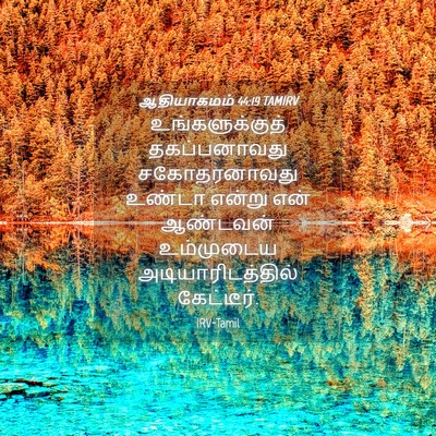Picture 04 - ஆதியாகமம் 44:19 TAMIRV - உங்களுக்குத் - Bible Verse Picture