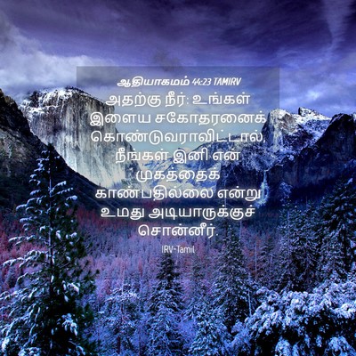 Picture 04 - ஆதியாகமம் 44:23 TAMIRV - அதற்கு நீர்: - Bible Verse Picture