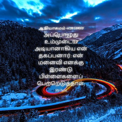 Picture 04 - ஆதியாகமம் 44:27 TAMIRV - அப்பொழுது - Bible Verse Picture