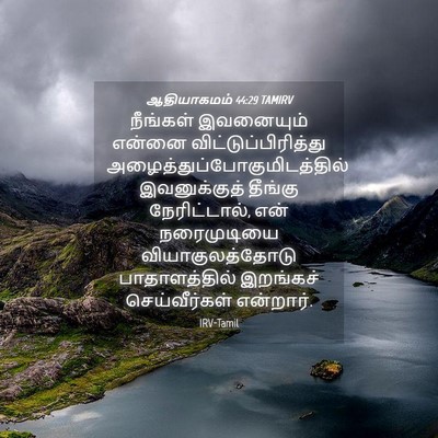 Picture 04 - ஆதியாகமம் 44:29 TAMIRV - நீங்கள் இவனையும் - Bible Verse Picture
