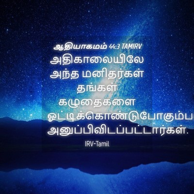 Picture 04 - ஆதியாகமம் 44:3 TAMIRV - அதிகாலையிலே அந்த - Bible Verse Picture