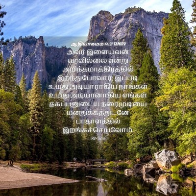 Picture 04 - ஆதியாகமம் 44:31 TAMIRV - அவர் இளையவன் - Bible Verse Picture