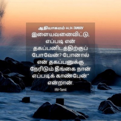 Picture 04 - ஆதியாகமம் 44:34 TAMIRV - இளையவனைவிட்டு, - Bible Verse Picture
