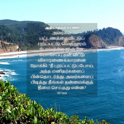 Picture 04 - ஆதியாகமம் 44:4 TAMIRV - அவர்கள் - Bible Verse Picture