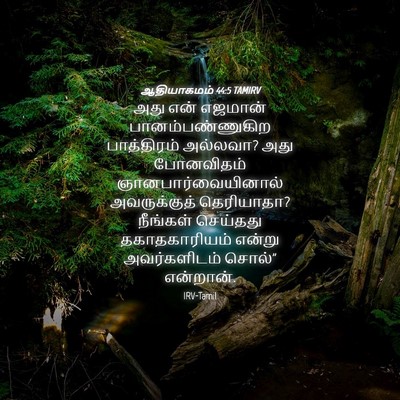 Picture 04 - ஆதியாகமம் 44:5 TAMIRV - அது என் எஜமான் - Bible Verse Picture