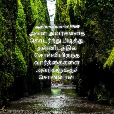 Picture 04 - ஆதியாகமம் 44:6 TAMIRV - அவன் அவர்களைத் - Bible Verse Picture