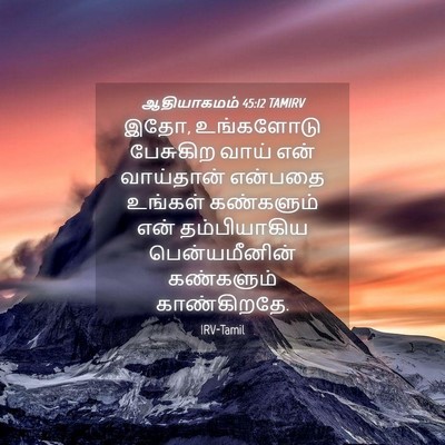 Picture 04 - ஆதியாகமம் 45:12 TAMIRV - இதோ, உங்களோடு - Bible Verse Picture