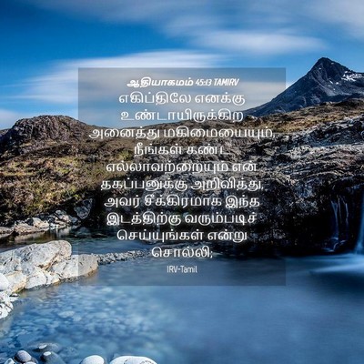 Picture 04 - ஆதியாகமம் 45:13 TAMIRV - எகிப்திலே எனக்கு - Bible Verse Picture
