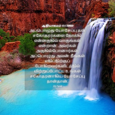 Picture 04 - ஆதியாகமம் 45:4 TAMIRV - அப்பொழுது - Bible Verse Picture
