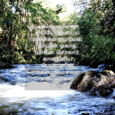 Picture 04 - ஆதியாகமம் 46:10 TAMIRV - சிமியோனுடைய - Bible Verse Picture