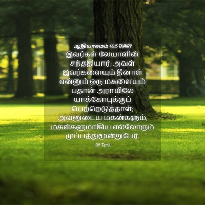 Picture 04 - ஆதியாகமம் 46:15 TAMIRV - இவர்கள் லேயாளின் - Bible Verse Picture