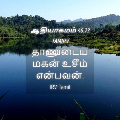 Picture 04 - ஆதியாகமம் 46:23 TAMIRV - தாணுடைய மகன் - Bible Verse Picture