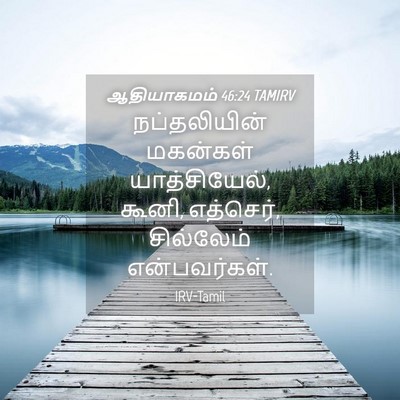 Picture 04 - ஆதியாகமம் 46:24 TAMIRV - நப்தலியின் - Bible Verse Picture