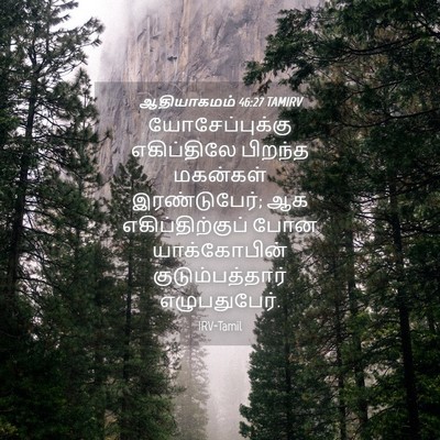Picture 04 - ஆதியாகமம் 46:27 TAMIRV - யோசேப்புக்கு - Bible Verse Picture