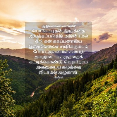 Picture 04 - ஆதியாகமம் 46:29 TAMIRV - யோசேப்பு தன் - Bible Verse Picture