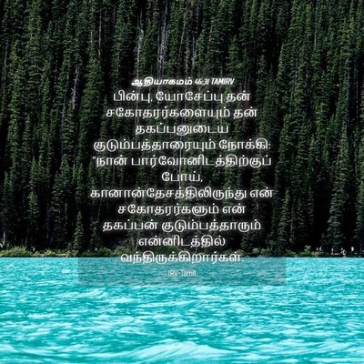Picture 04 - ஆதியாகமம் 46:31 TAMIRV - பின்பு, யோசேப்பு - Bible Verse Picture