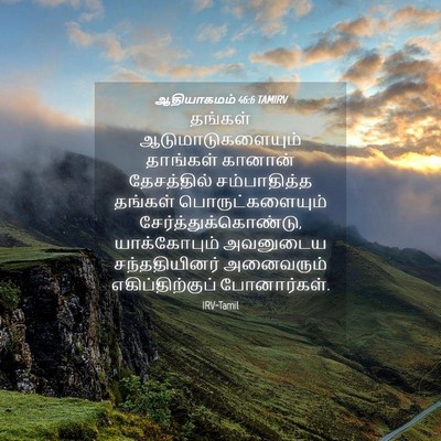 Picture 04 - ஆதியாகமம் 46:6 TAMIRV - தங்கள் - Bible Verse Picture