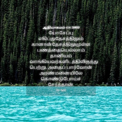 Picture 04 - ஆதியாகமம் 47:14 TAMIRV - யோசேப்பு - Bible Verse Picture