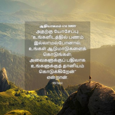 Picture 04 - ஆதியாகமம் 47:16 TAMIRV - அதற்கு யோசேப்பு: - Bible Verse Picture