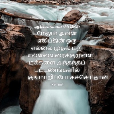 Picture 04 - ஆதியாகமம் 47:21 TAMIRV - மேலும் அவன் - Bible Verse Picture
