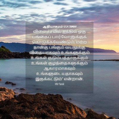 Picture 04 - ஆதியாகமம் 47:24 TAMIRV - விளைச்சலில் - Bible Verse Picture