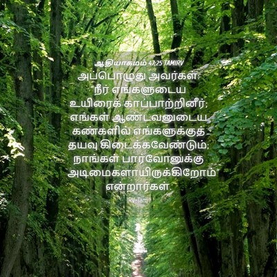 Picture 04 - ஆதியாகமம் 47:25 TAMIRV - அப்பொழுது - Bible Verse Picture