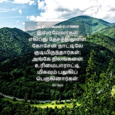 Picture 04 - ஆதியாகமம் 47:27 TAMIRV - இஸ்ரவேலர்கள் - Bible Verse Picture